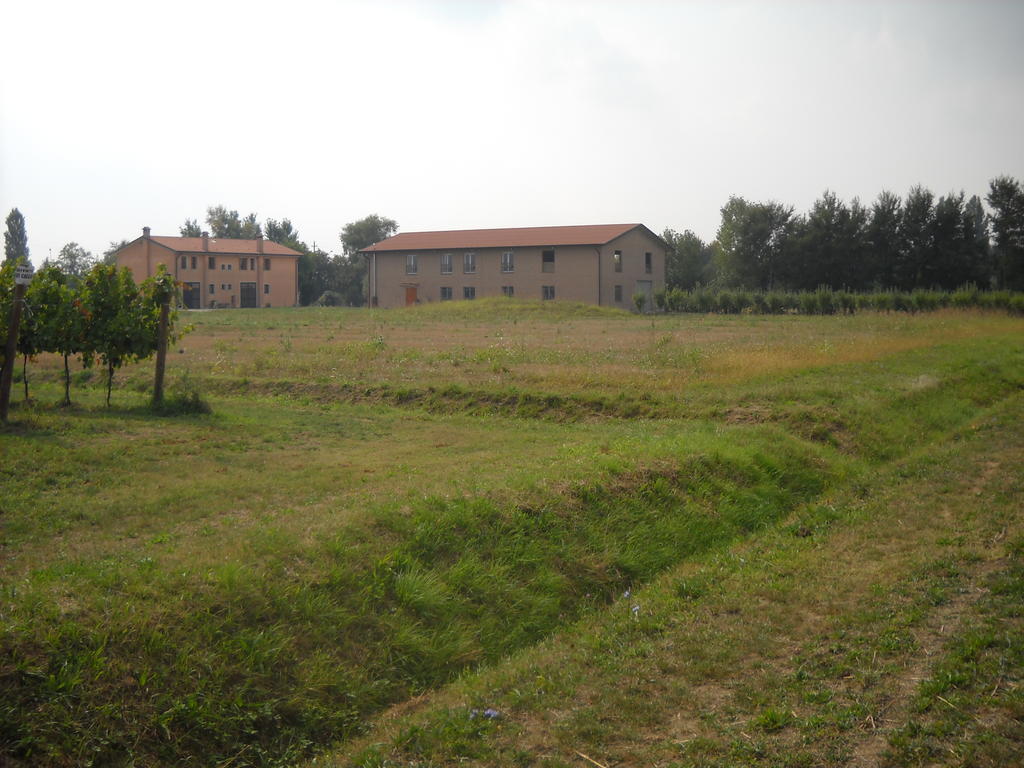Agriturismo Campi Di Grano Roncade Εξωτερικό φωτογραφία