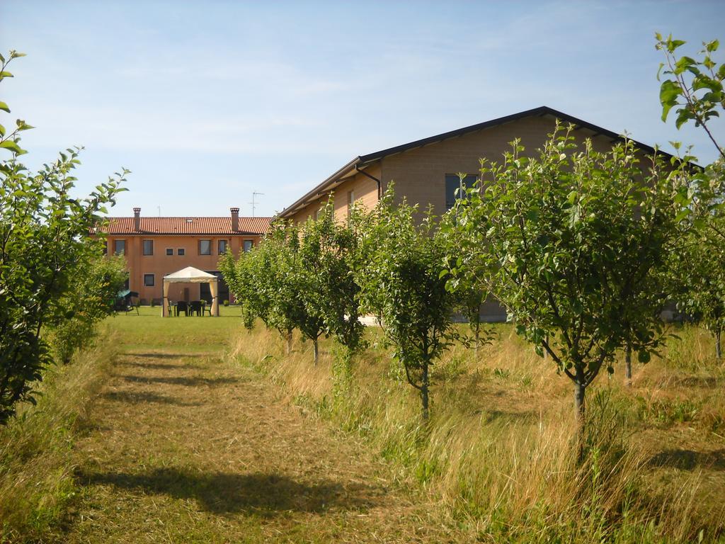 Agriturismo Campi Di Grano Roncade Εξωτερικό φωτογραφία
